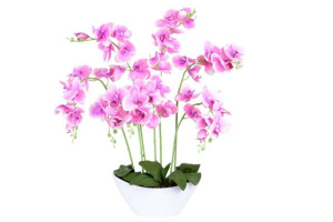 Storczyk Orchidea Sztuczna 56 Kwiatów Różowa