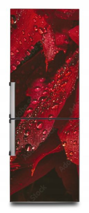 NAKLEJKA samoprzylepna okleina na lodówkę 65x200cm