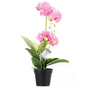 Artflower Orchi Powderpink