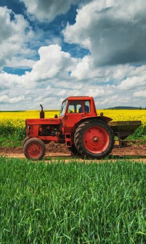 Ręcznik Do Przedszkola 30x50 Imię Haft Traktor