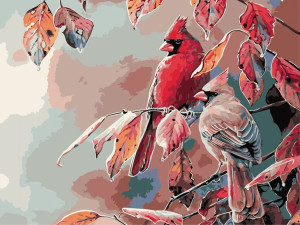 Malowanie po numerach – Ptaszki - 30x40cm rama