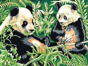 Malowanie po numerach – Pandy - 30x40cm rama
