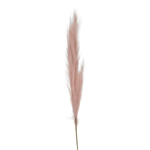 Trawa pampasowa Jumi ciemnoróżowa 80 cm