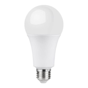 Żarówka LED Diall A70 E27 2452 lm barwa neutralna