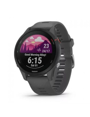 Garmin Forerunner 255 Slate Gray 010-02641-10