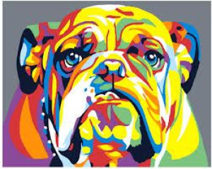 Malowanie Po Numerach Pies Kolorowy Bulldog