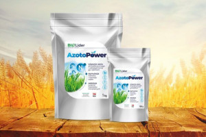 Azotopower 1KG wiąże azot atmosferyczny