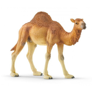 Schleich Wielbłąd Dromader