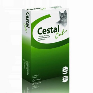 Ceva Cestal kot 8 tabletek na odrobaczenie dla Kota