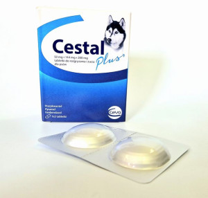 Ceva Cestal plus 2 tabletki na odrobaczenie dla Psa