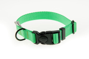 Obroża z taśmy 25 mm neonowa zieleń 37-57 cm