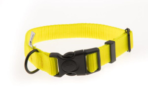 Obroża z taśmy 25 mm neonowy żółty 37-57 cm