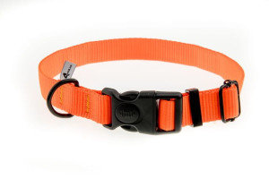 Obroża z taśmy 25 mm neonowa pomarańcza 37-57 cm