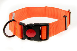 Obroża z taśmy 40 mm neonowa pomarańcza 39-61 cm