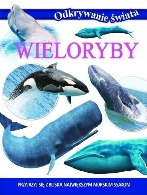 Odkrywanie świata. Wieloryby praca zbiorowa