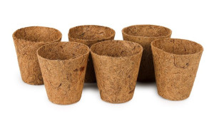 Komplet 6 Doniczek Kokosowych Średnica 8x8 Cm (275 Ml)