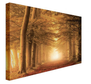 Autumn Feelings - obraz na płótnie 80x60 cm