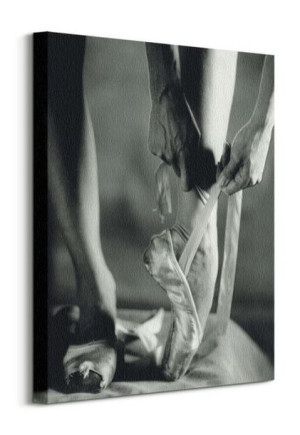 Ballet Shoes - obraz na płótnie 40x50 cm
