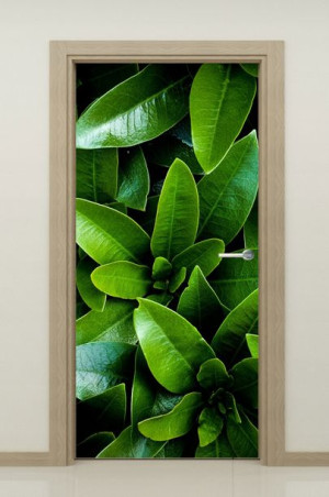 NAKLEJKA samoprzylepna okleina na drzwi 95x205cm