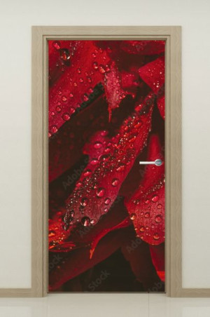 NAKLEJKA samoprzylepna okleina na drzwi 95x205cm