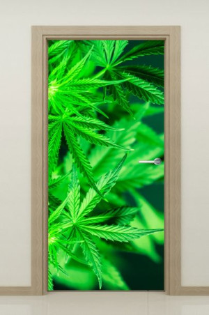 NAKLEJKA samoprzylepna okleina na drzwi 95x205cm