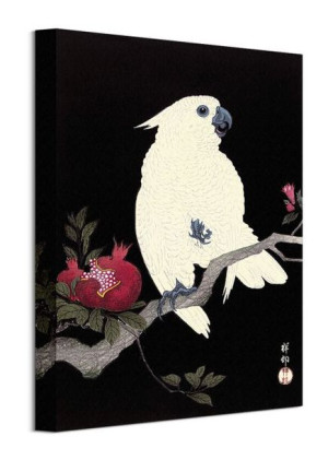 Cockatoo and Pomegranate - obraz na płótnie 30x40 cm