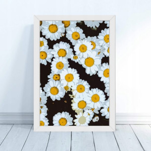 Plakat 'Stokrotki' w ramie 30x40cm rama