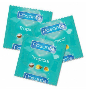 Pasante Tropical Flavor Bulk Pack (1op./144szt.)