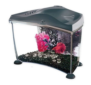 Marina Betta Kit 6,7L - Akwarium Plastikowe Dla Bojownika Czarne