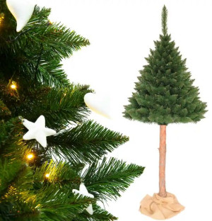 Choinka Sztuczna Na Pniu Sosna Himalajska 160cm