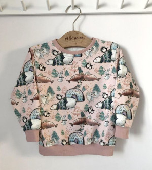 Bluza dresowa - arktyczne klimaty