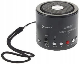 Głośnik przenośny WSTER WS-138RC czarny