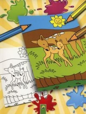 Kolorowanka Dzikie zwierzęta praca zbiorowa