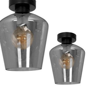 Lampa sufitowa 1x60W SANTIAGO MLP6603 Milagro