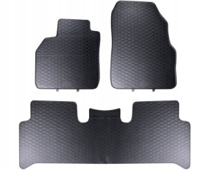 Dywaniki gumowe Renault Scenic II 2003-2009
