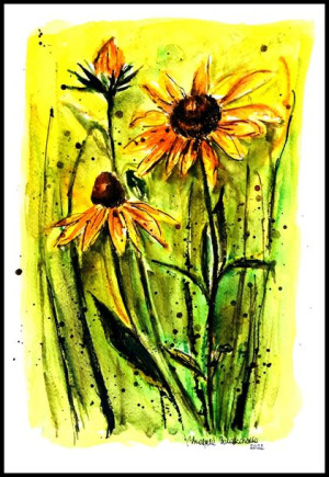 Jeżówka - Echinacea - akwarela, oryginał
