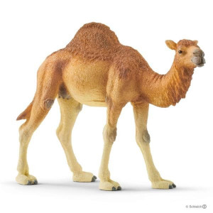 Schleich 14832 WIELBŁĄD
