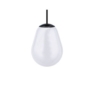 Cameleon Pear S