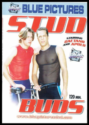 Dvd-stud Buds