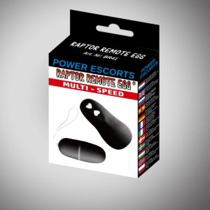 Raptor Remote Egg Black Remote Egg