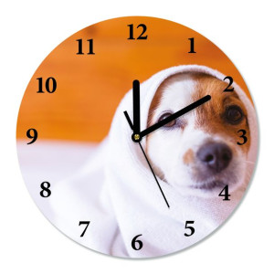 Zegar ścienny, cichy JACK RUSSELL TERRIER śr.30