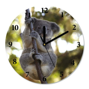 Zegar ścienny, cichy KOALA śr.30