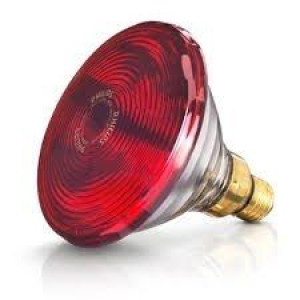 Beurer Żarówka 150w Il 21 / 35 Żarówka 150w Do Lamp Beurer Il 21 / 35