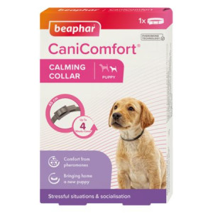 Beaphar CaniComfort Calming Collar Puppy Obroża Z Feromonami Dla Szczeniąt 