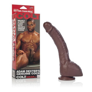 Dildo-colt Adam Dexter Dong Brown