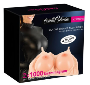 Breasts With Bra