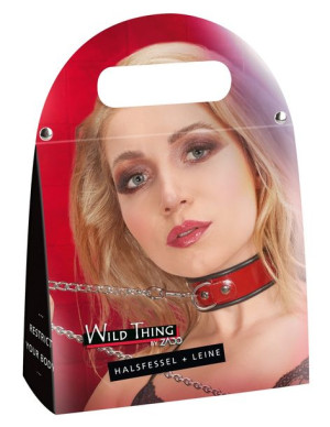Leather Collar And Leash