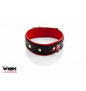 Whips Obroża Damska 4 Cm