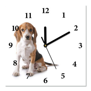 Zegar ścienny, cichy SIEDZĄCY BEAGLE 30X30