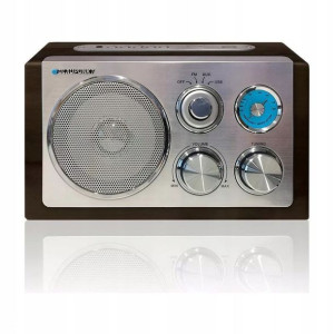 Radio analogowe Blaupunkt RX 19-1
